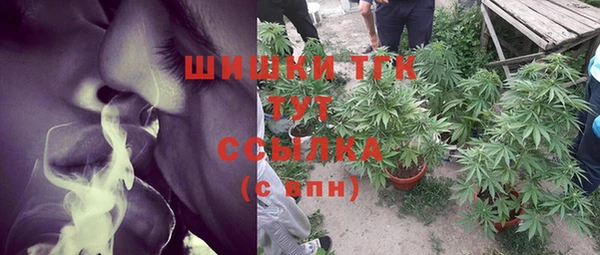 молекула духа Алексин