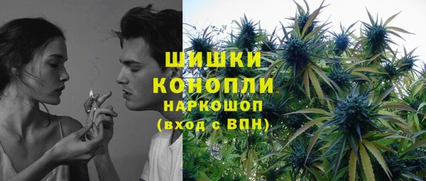 сатива Абинск