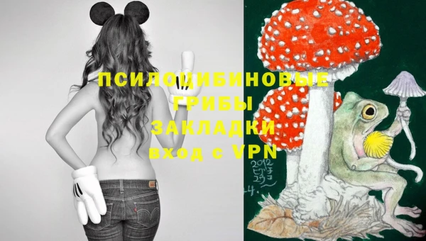 сатива Абинск